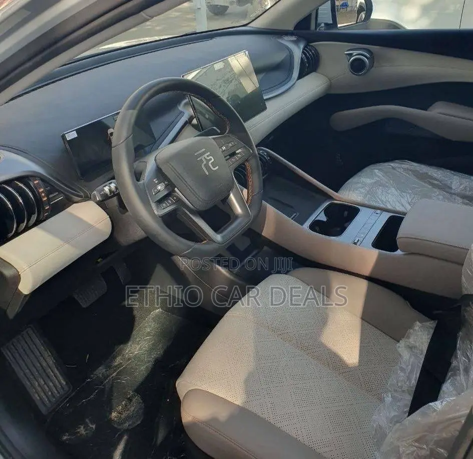 BYD Yuan Plus 2025 Gray