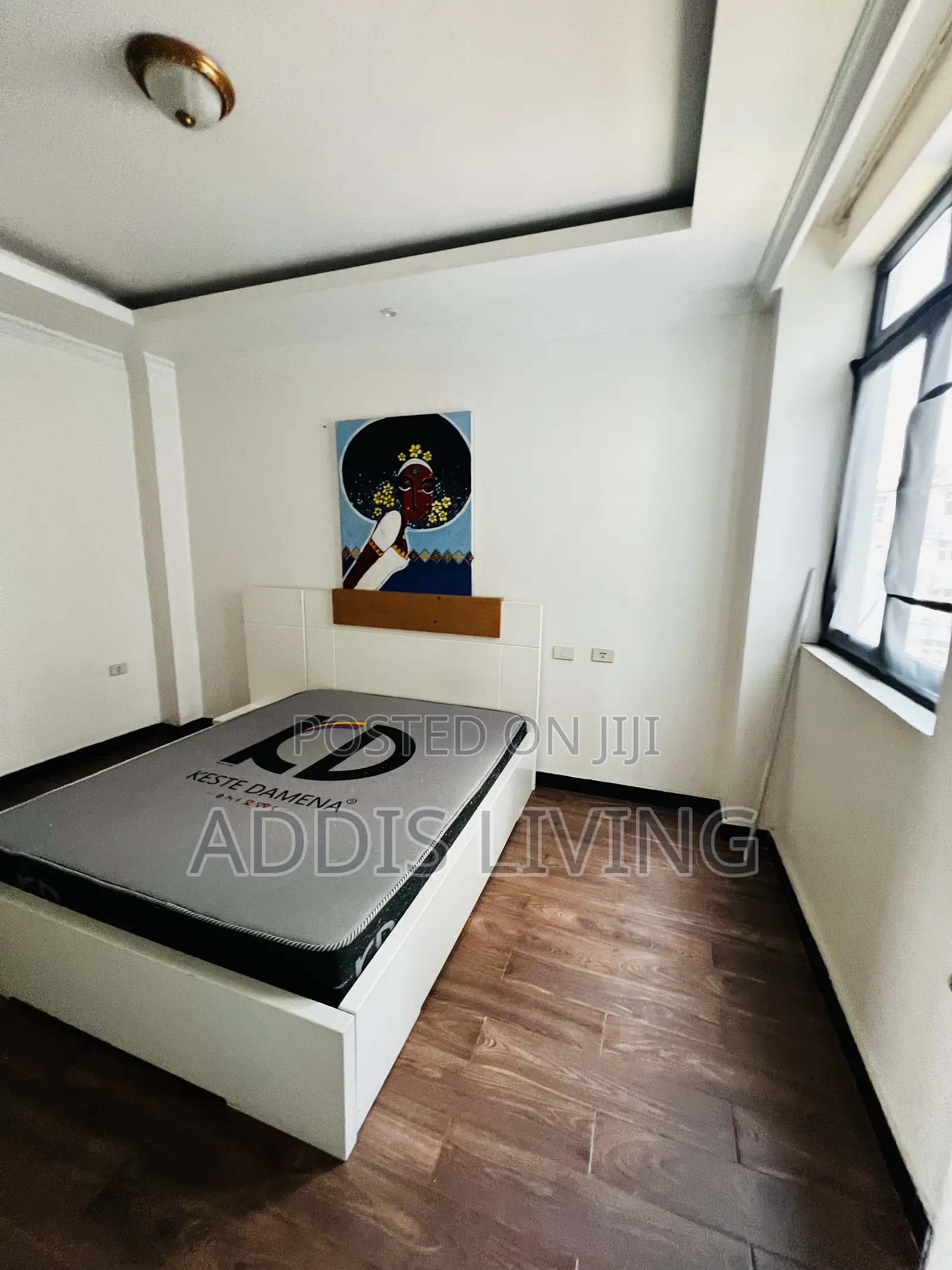 Furnished 1bdrm Apartment in Bole for rent