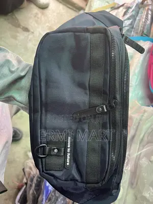 Waist and Belt Bag
