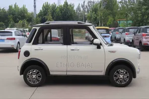 New Mini Mini 2025 White
