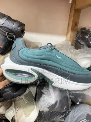 • Nike Air Max Performance Runners: