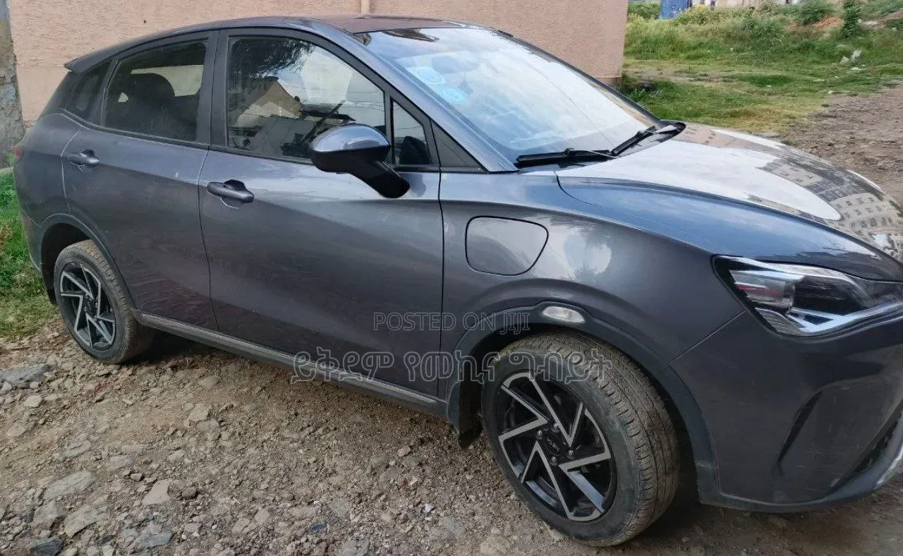 Hozon Neta Aya 2024 Gray
