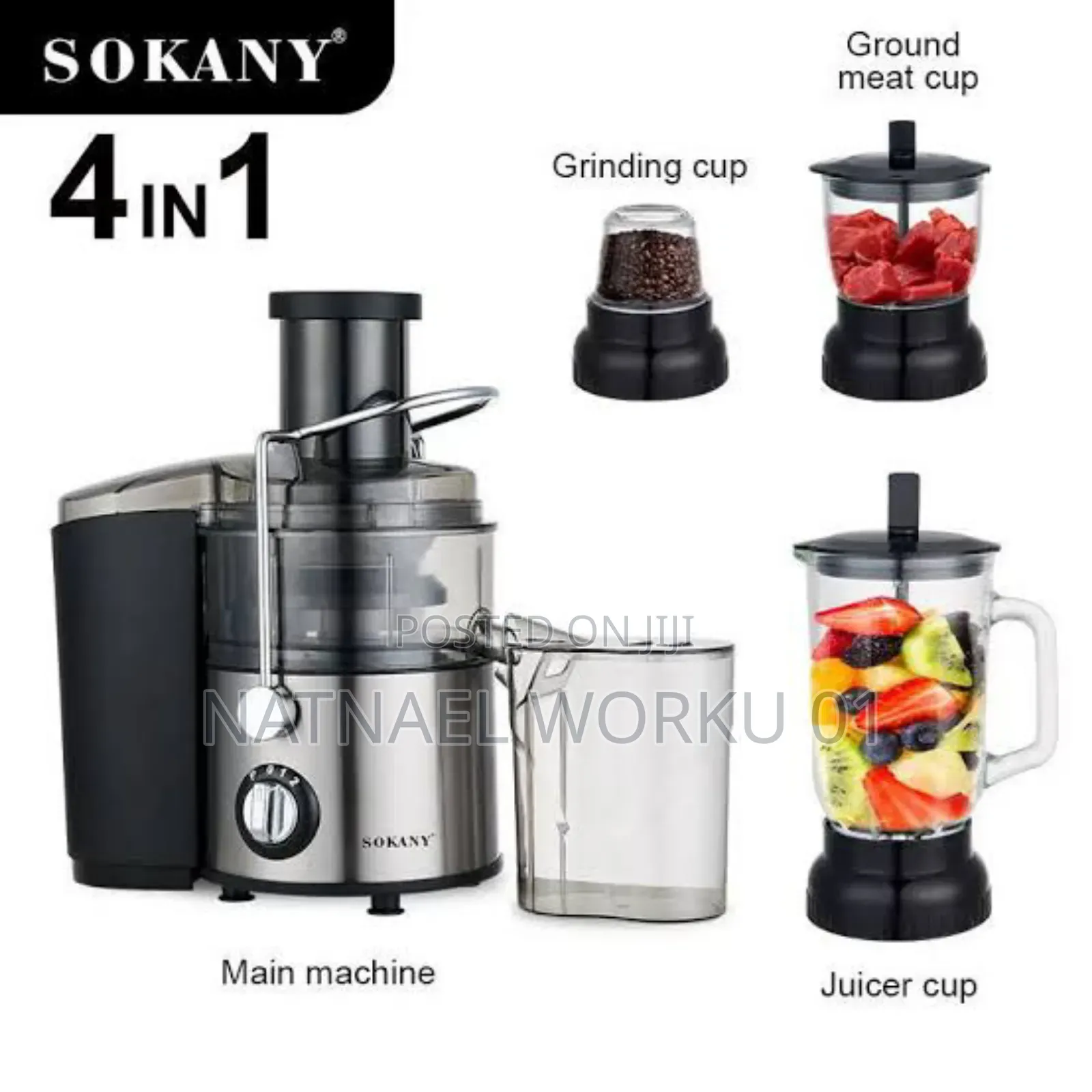 Juice Mixer 4 in 1