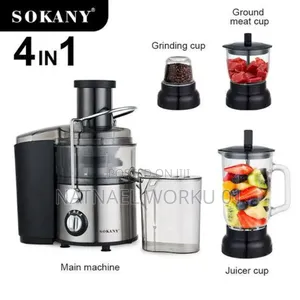 Juice Mixer 4 in 1