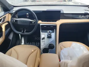 New Car 2024 Gold