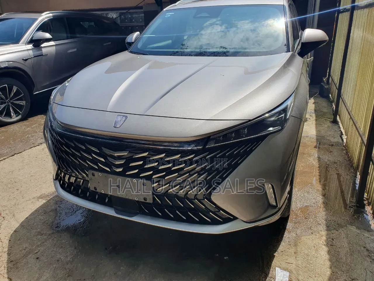 New Car 2024 Gold