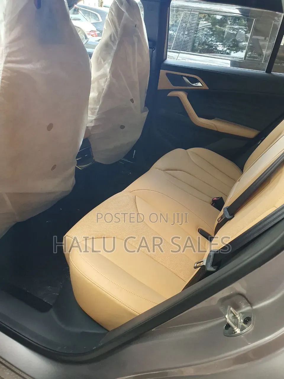New Car 2024 Gold