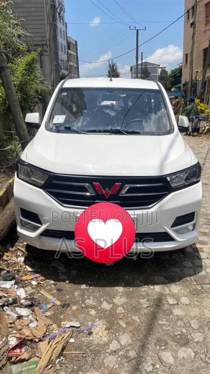 Wuling Hongguang S1 2022 White