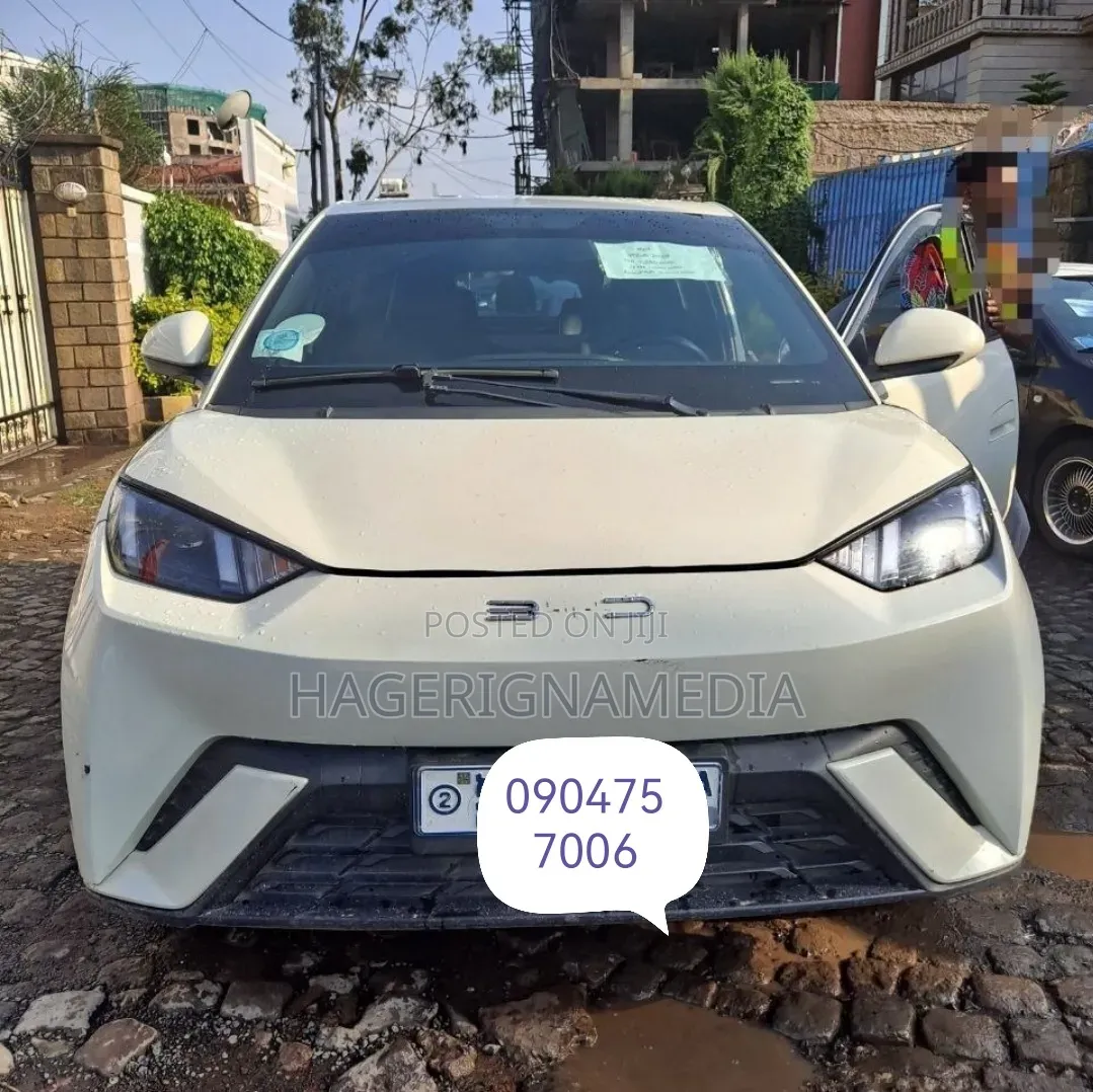 BYD Seagull 2024 White