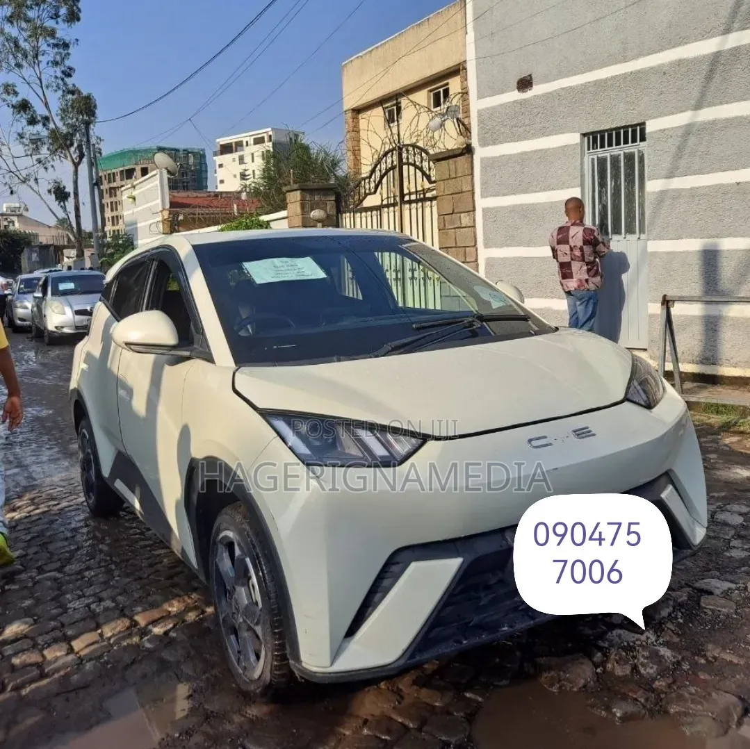 BYD Seagull 2024 White