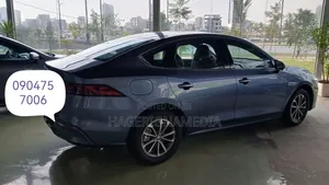 New BYD Qin Plus DM-i 2024 Blue