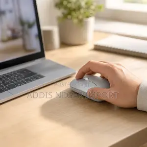 Slim Silver Wireless Mouse for Laptop and Desktop