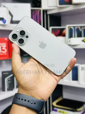 Apple iPhone 15 Pro Max 256 GB Silver