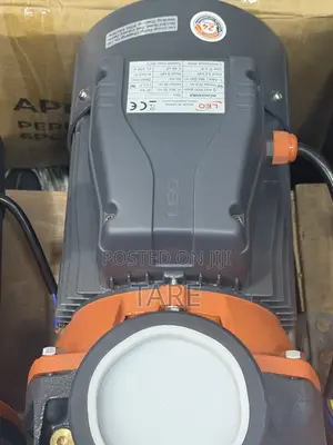 Leo Surface Water Pump