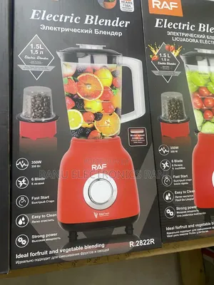 Raf Electric Juicer