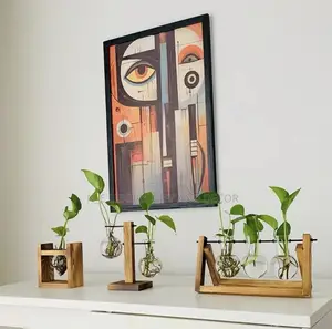 Hydroponic Plants