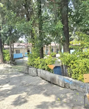 School for Sale ት/ቤት ሽያጭ Bole Gerji ገርጂ
