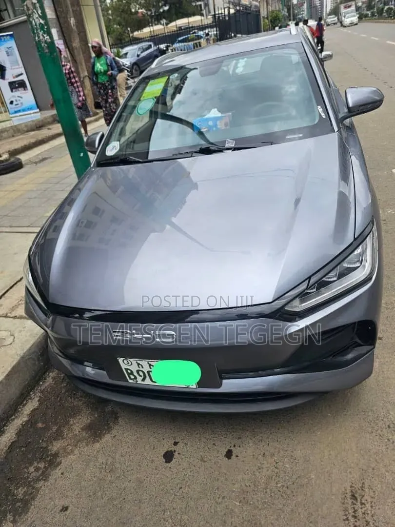 BYD E2 43 kWh 94 hp FWD 2024 Gray