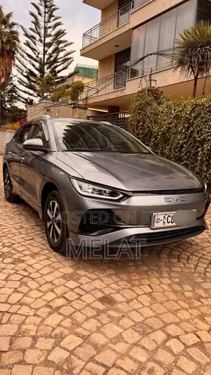 BYD E2 43 kWh 94 hp FWD 2025 Gray
