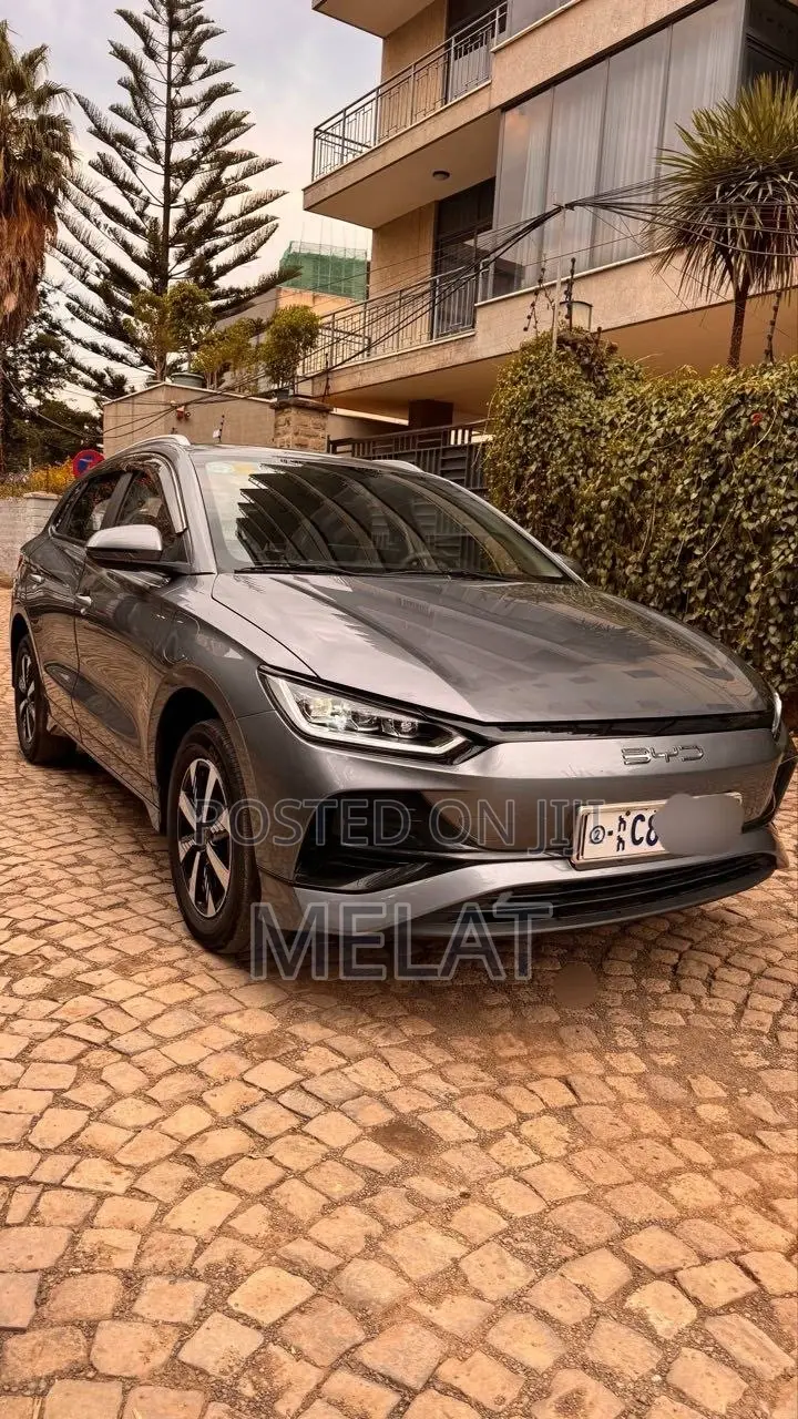 BYD E2 43 kWh 94 hp FWD 2025 Gray