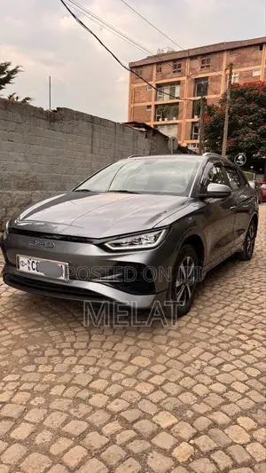 BYD E2 43 kWh 94 hp FWD 2025 Gray