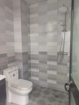 Furnished 3bdrm Apartment in Luxury Fernished, Bole for rent