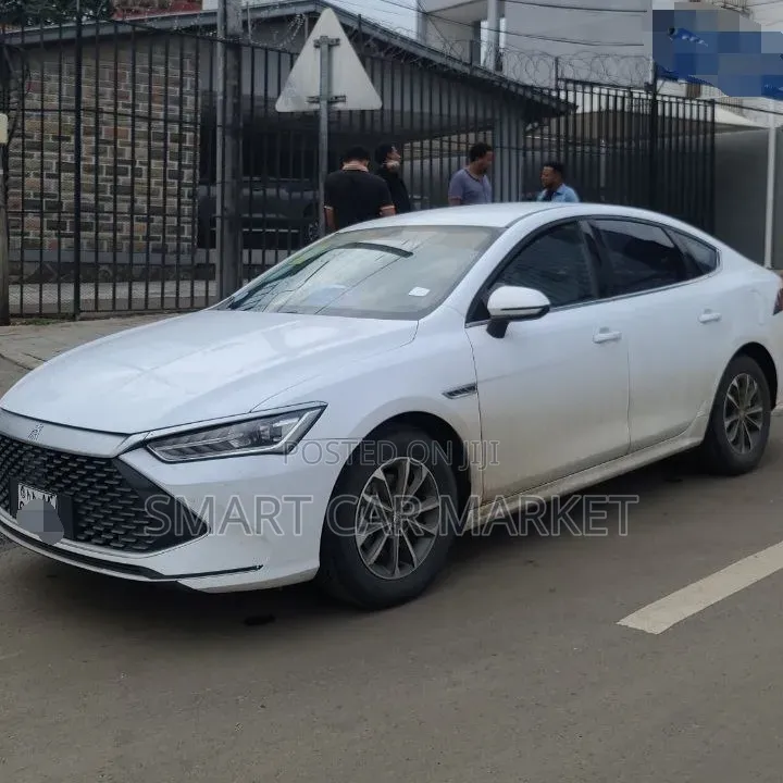 BYD Qin Plus DM-i 2024 White