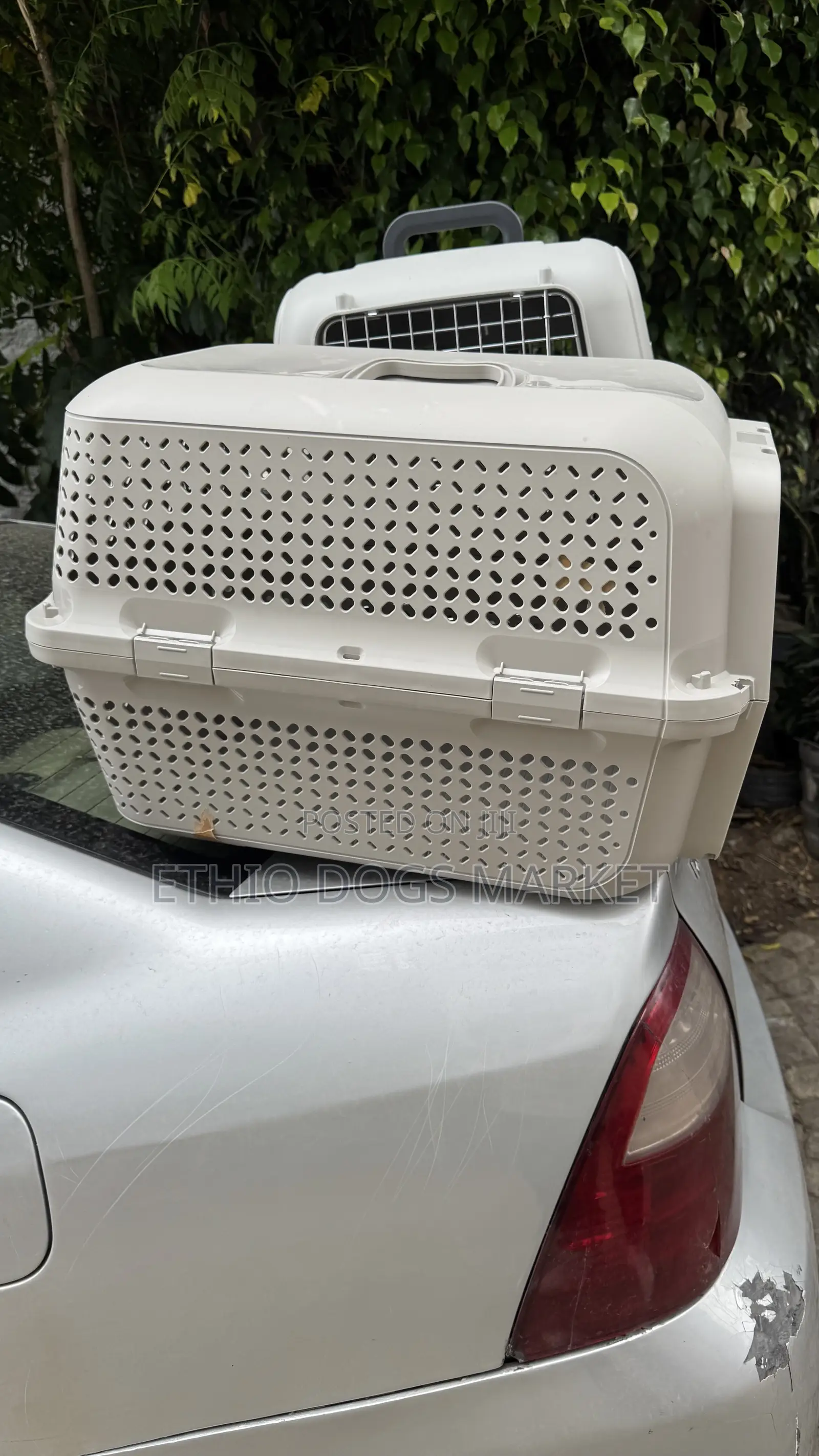 Dog Cage/Creat