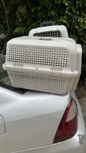Dog Cage/Creat