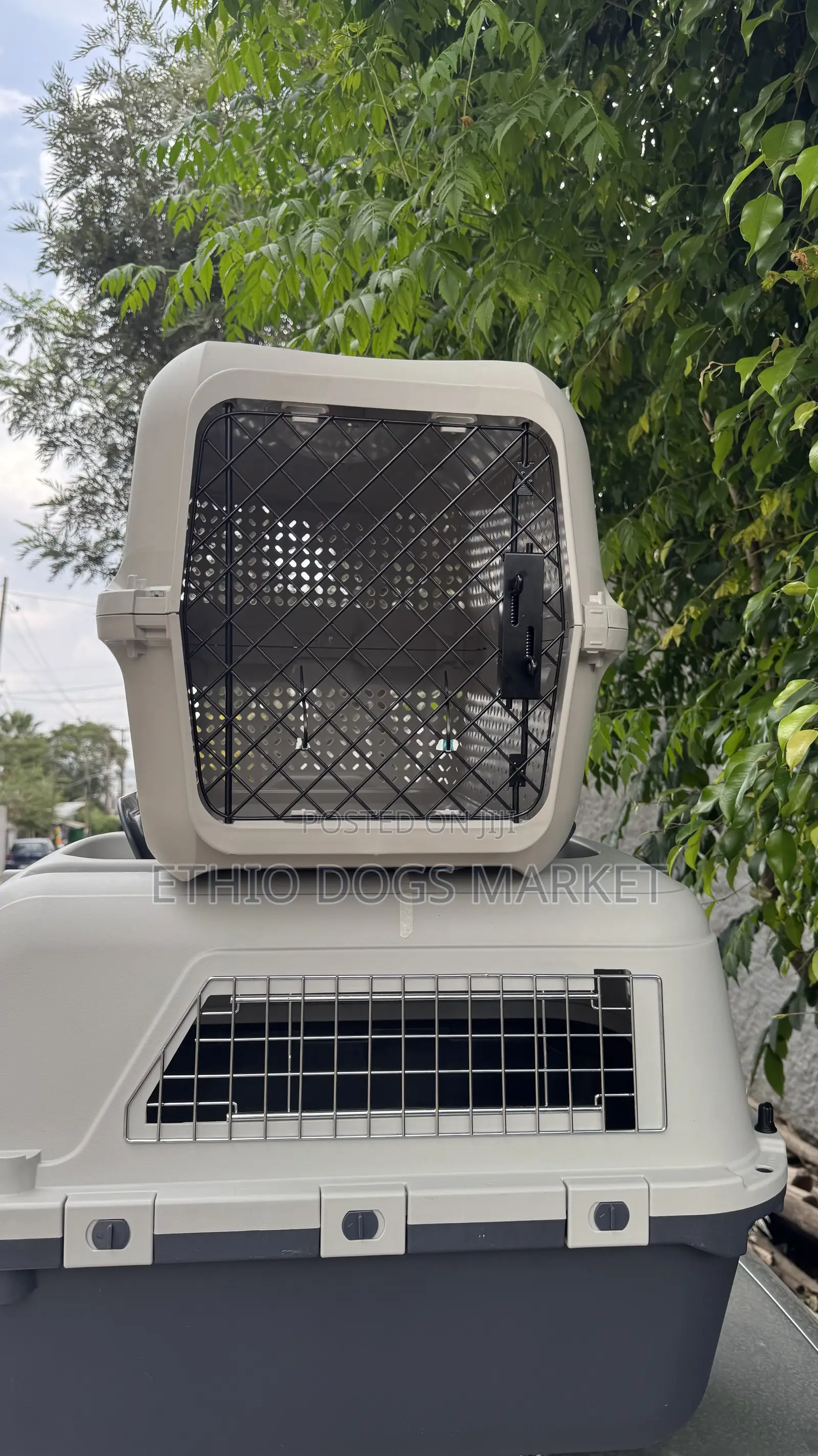 Dog Cage/Creat