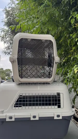 Dog Cage/Creat
