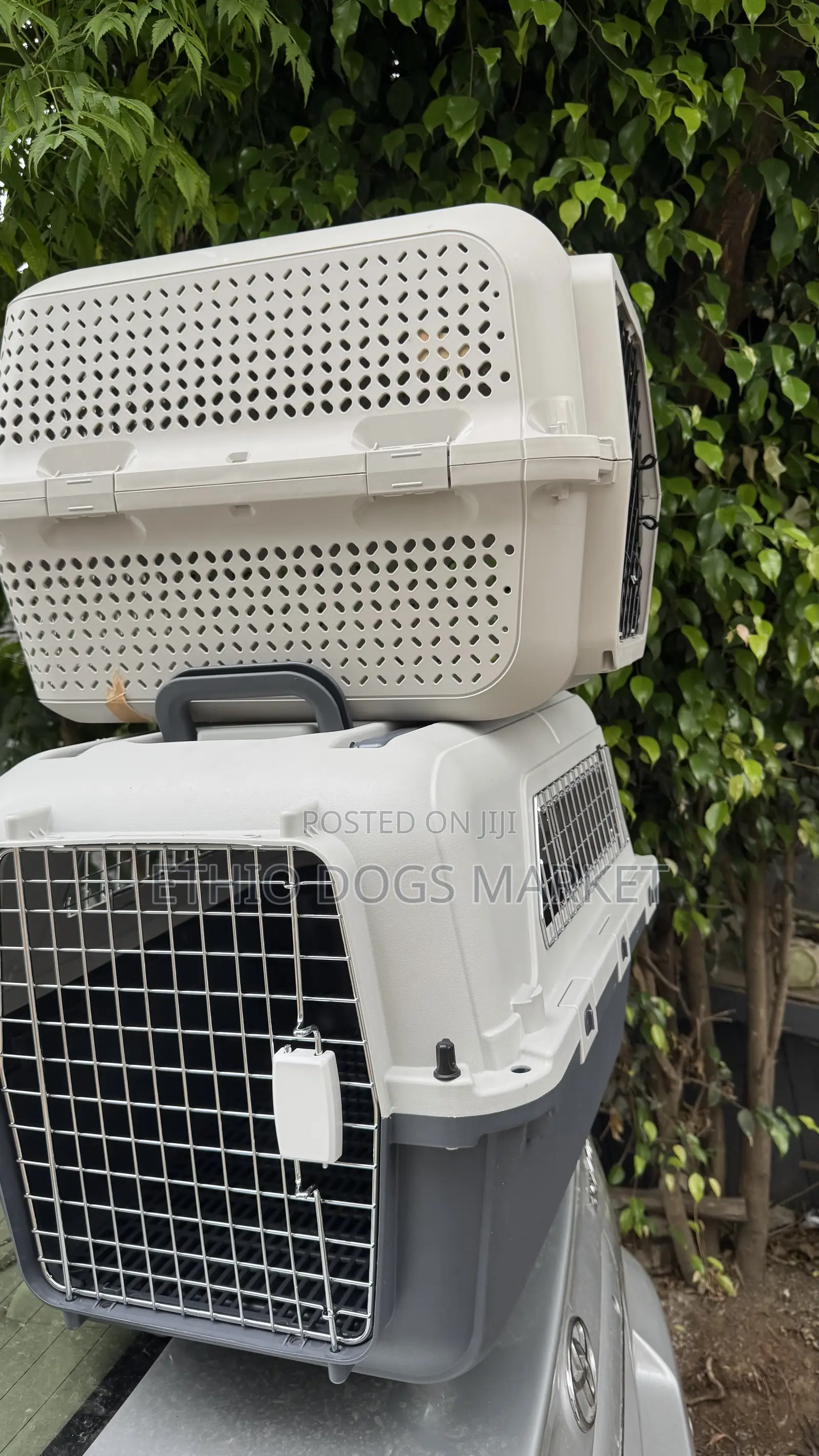 Dog Cage/Creat