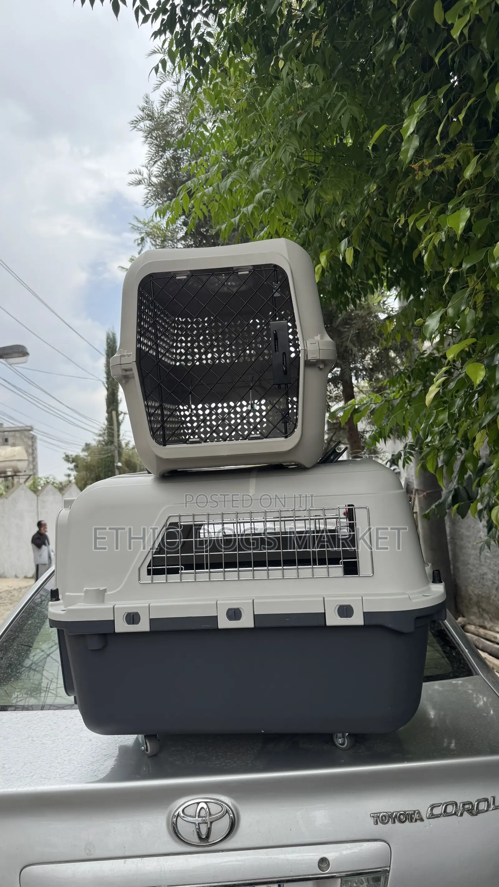 Dog Cage/Creat