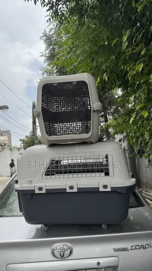 Dog Cage/Creat