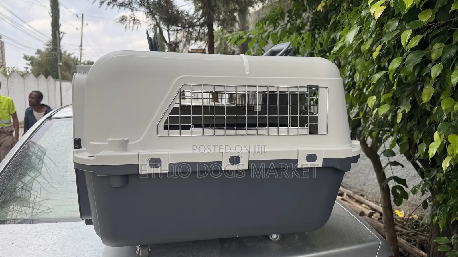 ዉሻ ማጉዋጉዣ Travel Cage