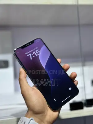 Apple iPhone XS Max 256 GB Black