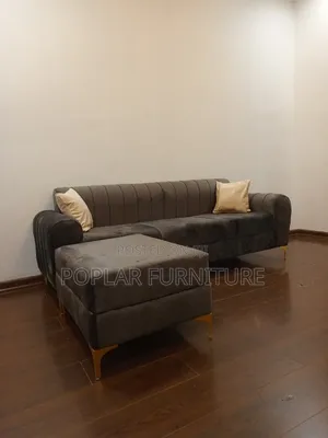 Attractive Sofa