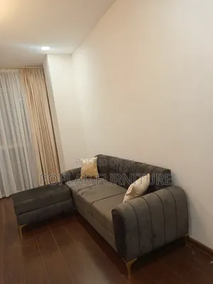 Attractive Sofa