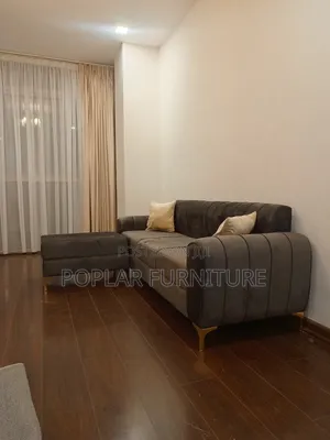 Attractive Sofa