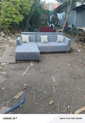 Elegant Couch