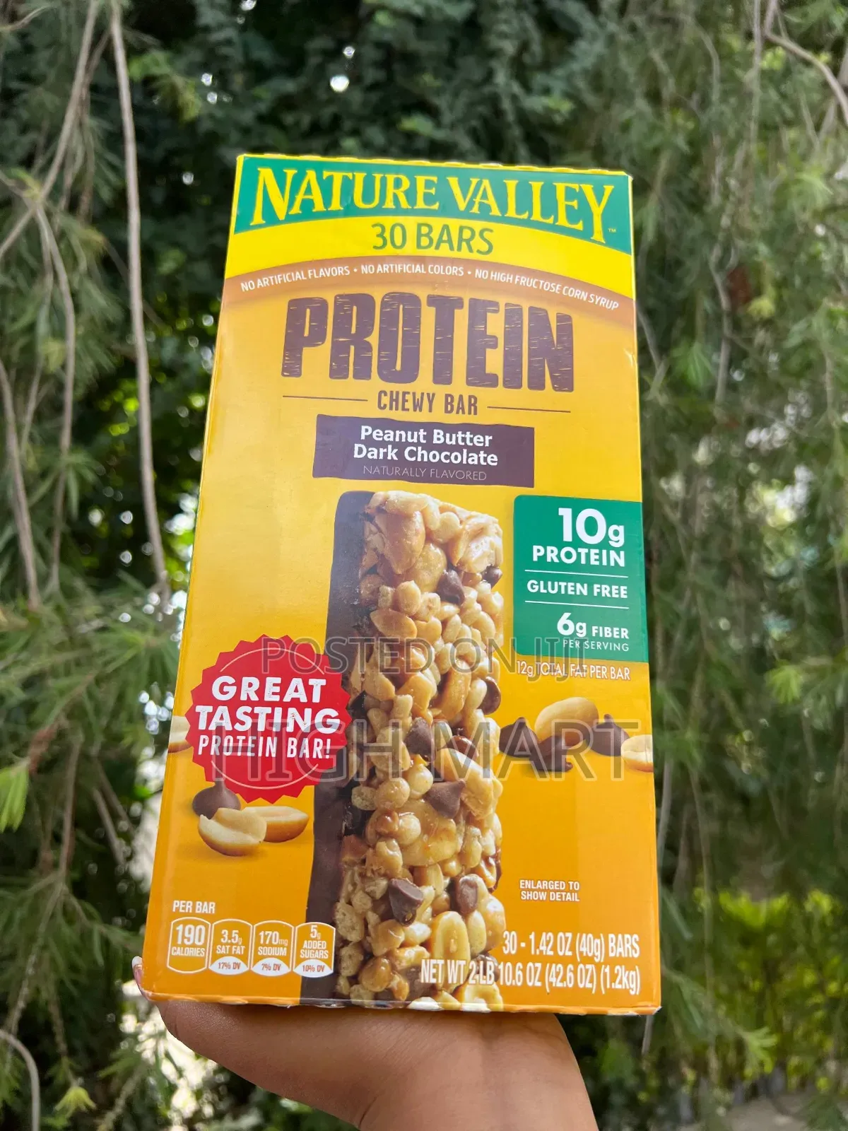 Nature Valley Protein Bar