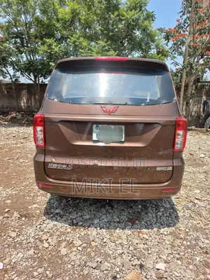 Wuling Sunshine 2019 Blue
