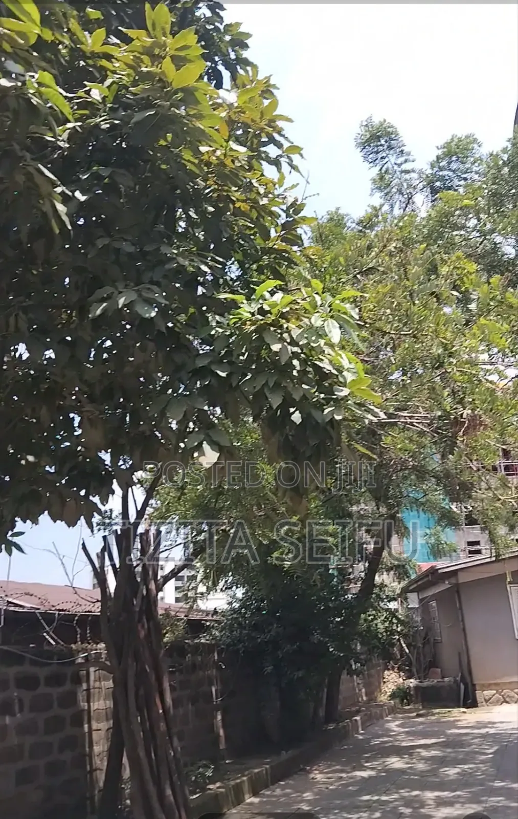 Furnished 6bdrm Villa in Vatican, Nifas Silk-Lafto for rent