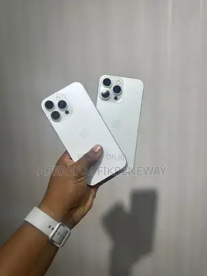 Apple iPhone 15 Pro Max 256 GB Silver