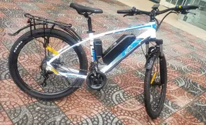 Electric Bike