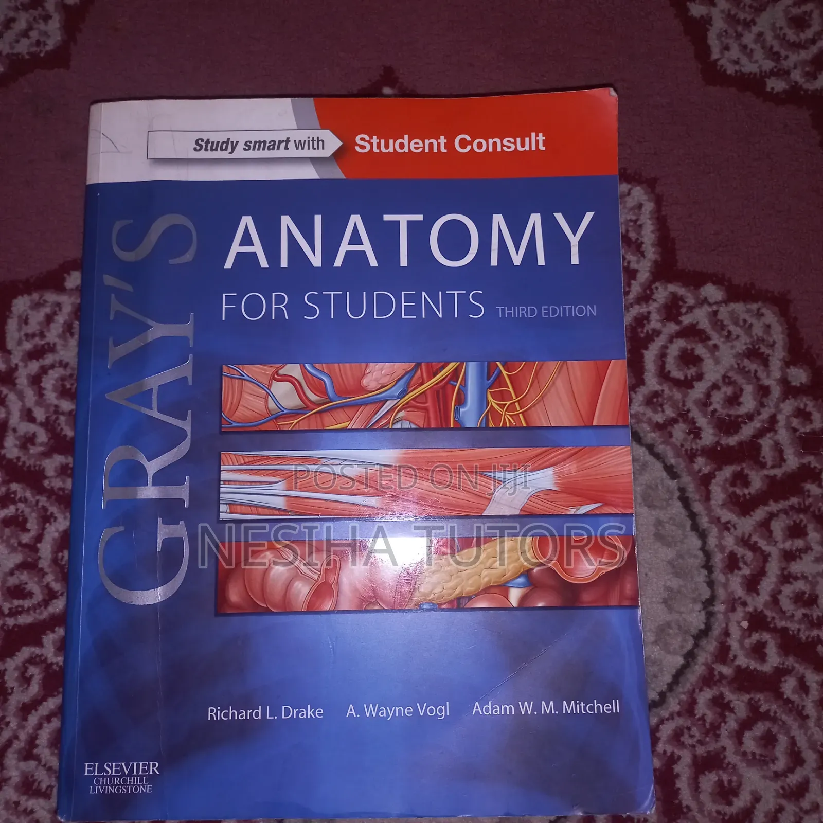 Gray's Anatomy Medical Book