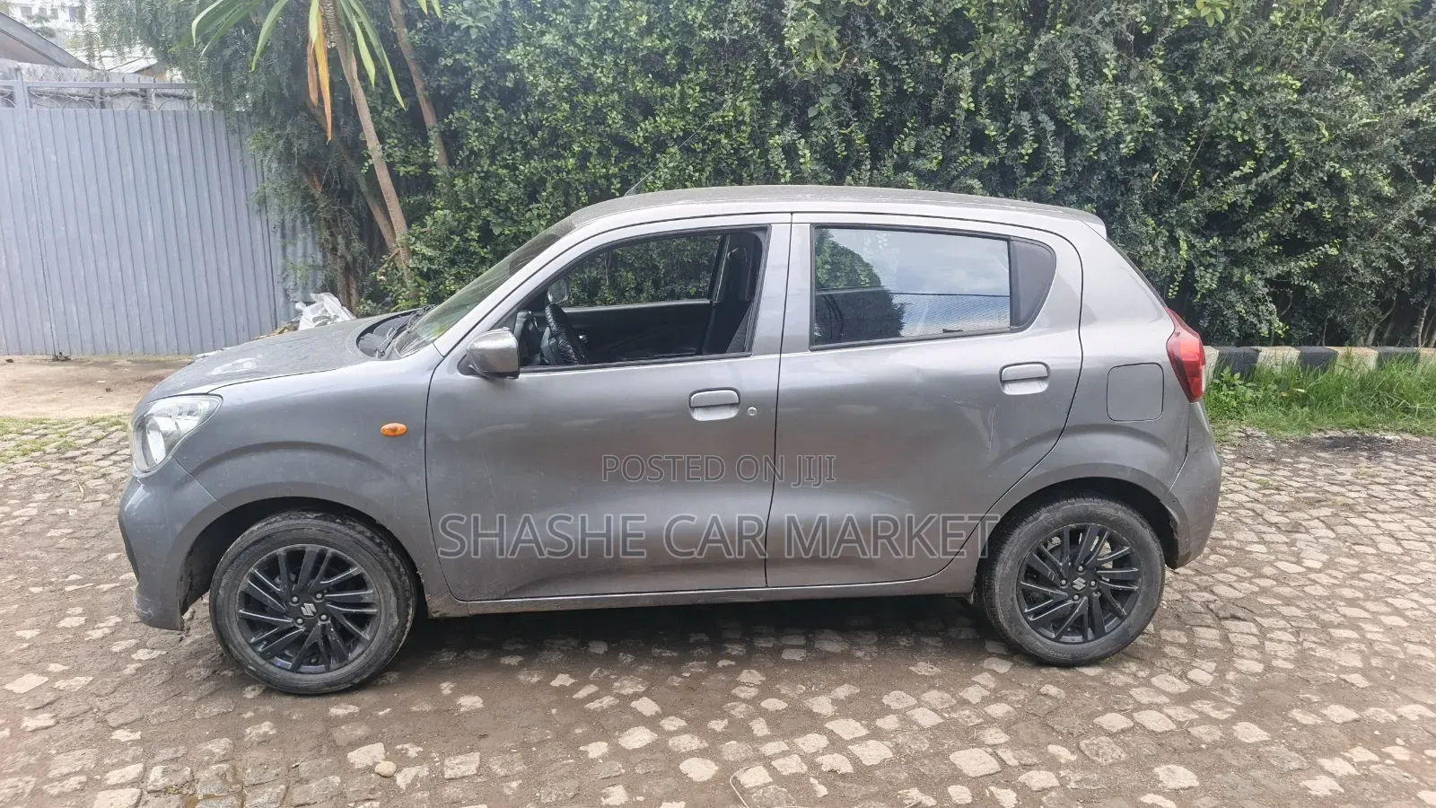 Suzuki Celerio 2023 Gray
