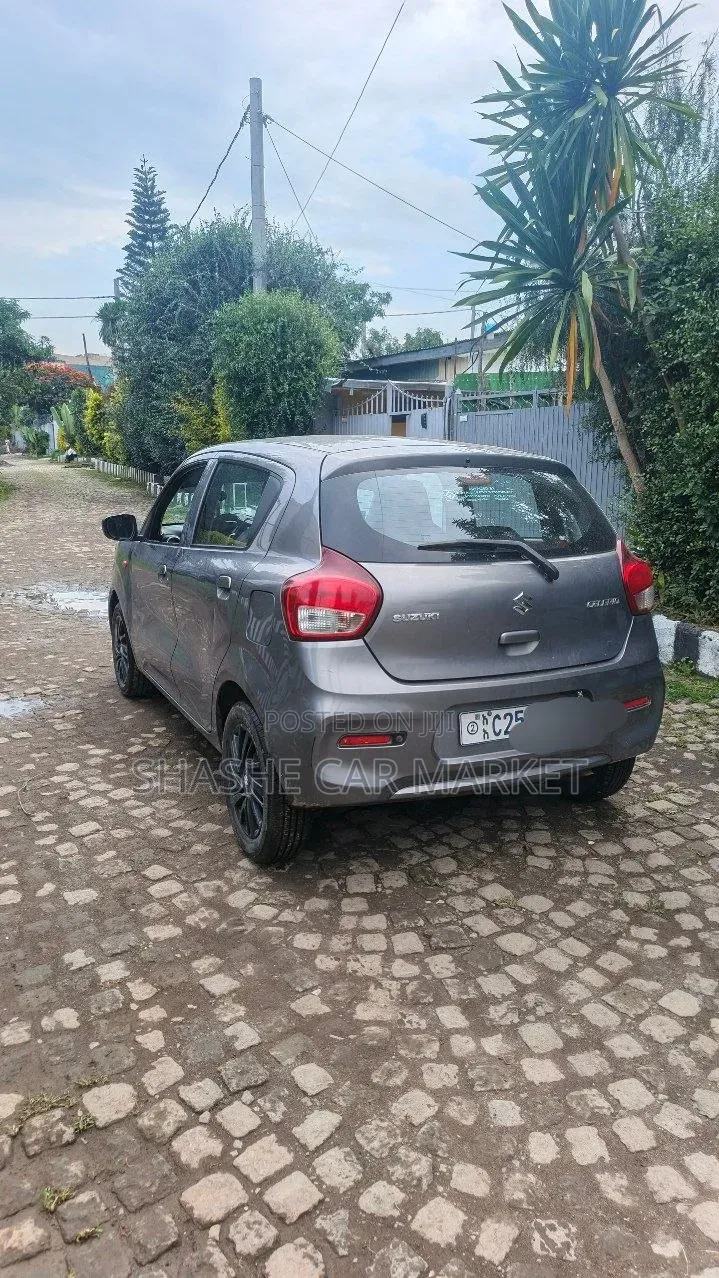 Suzuki Celerio 2023 Gray