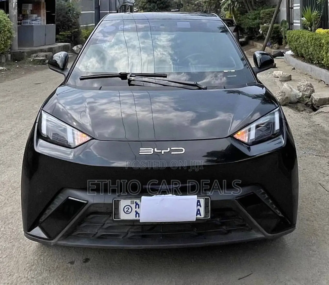 BYD Seagull 2025 Black
