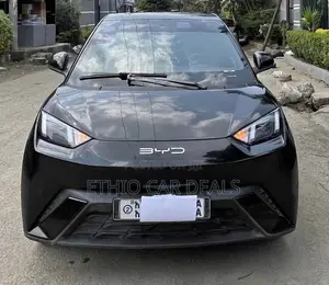 BYD Seagull 2025 Black